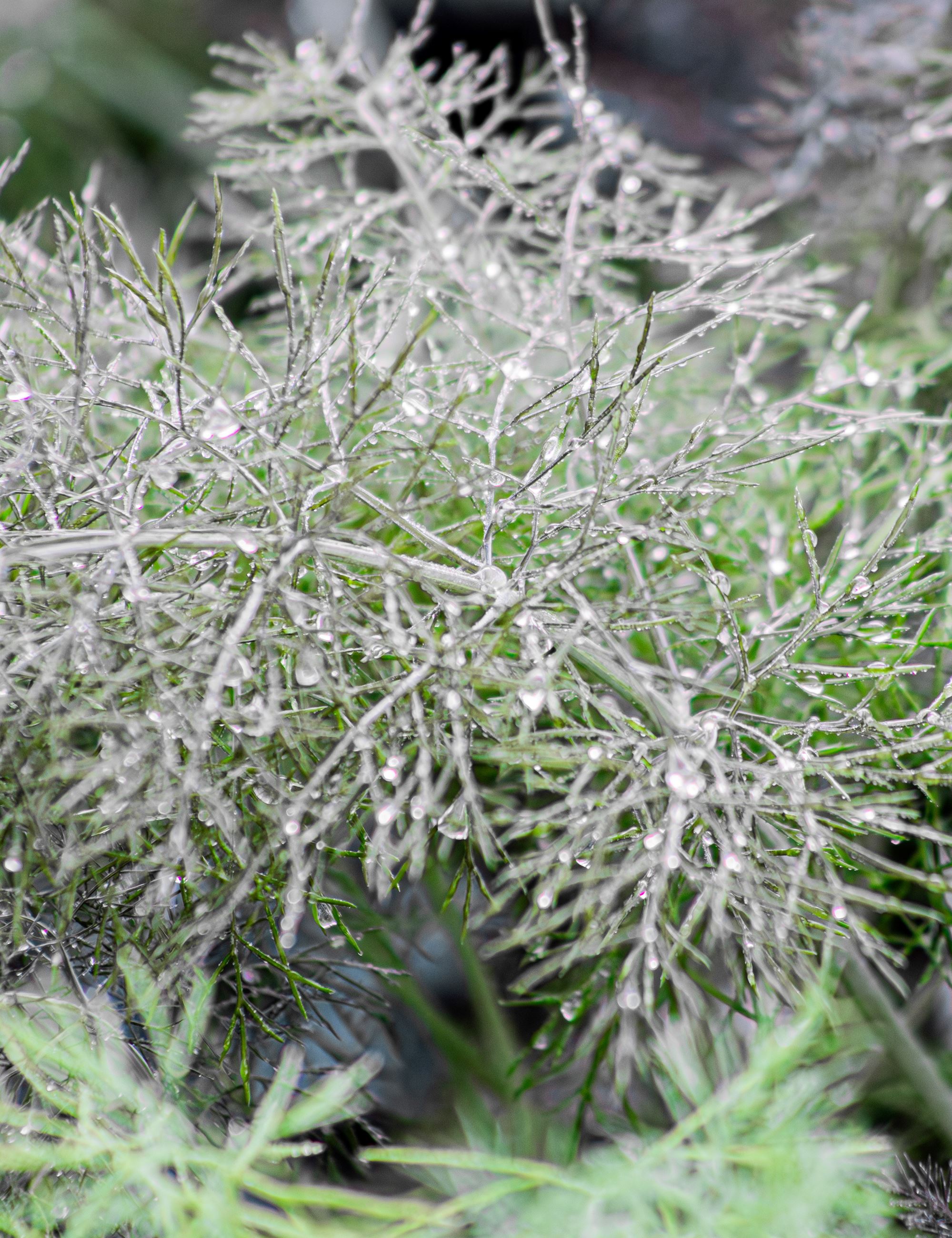 2025 IADWW Best Photography: Jackson Reeve