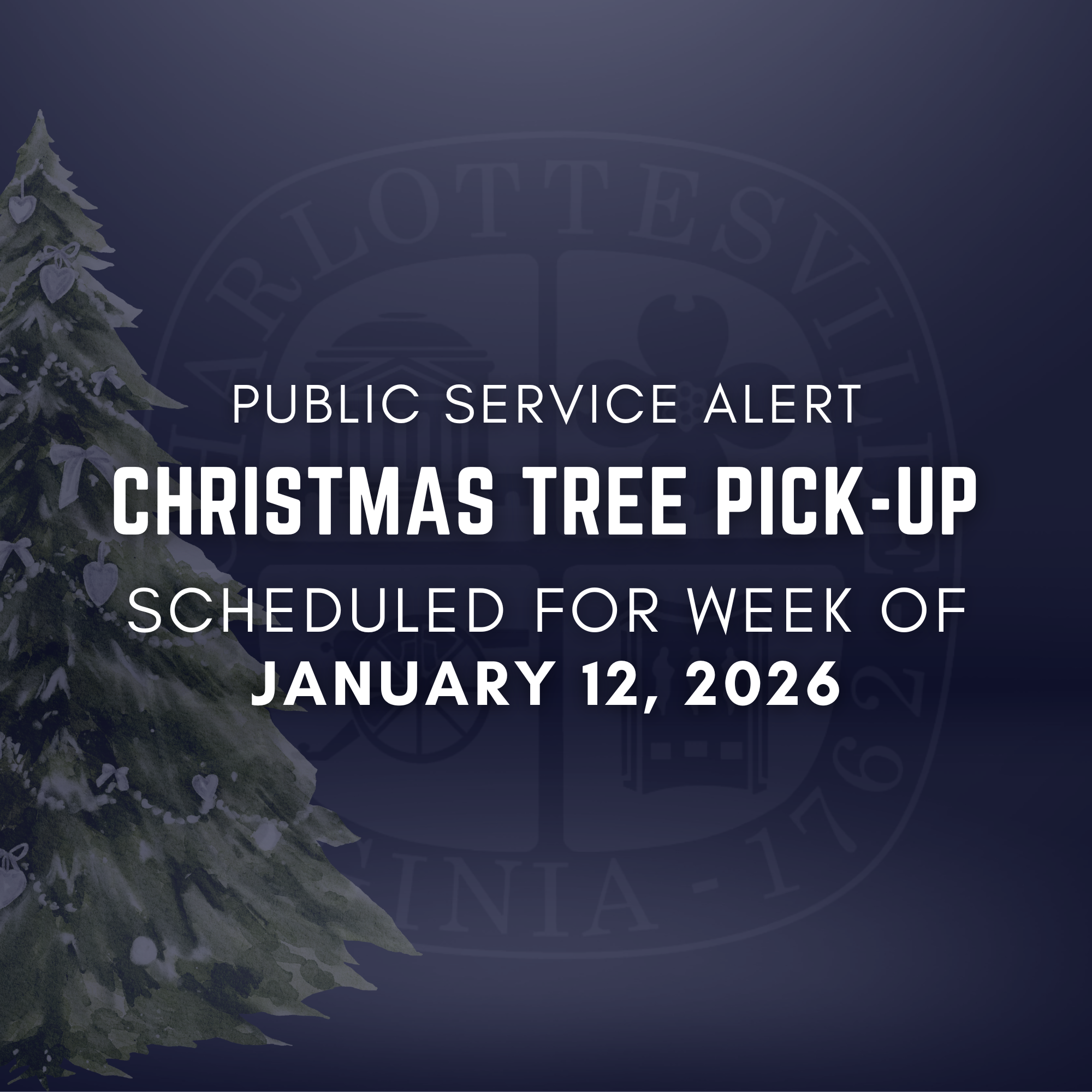 Christmas Tree Pickup Graphic