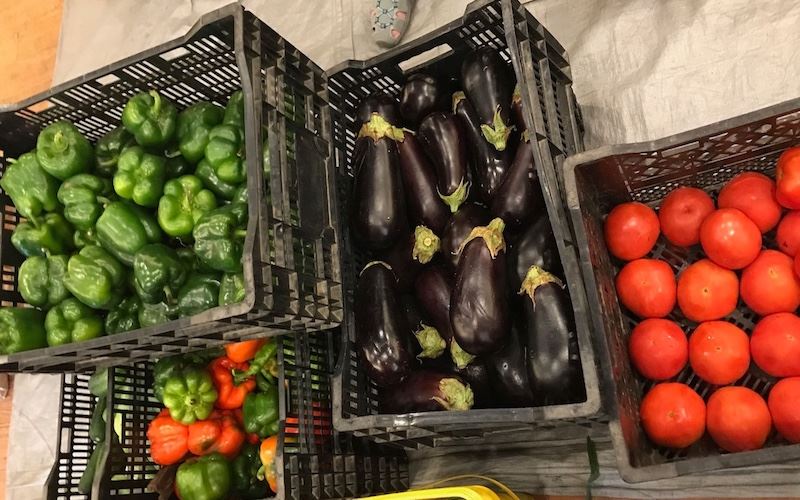 BRAFB 2024 After (New Fresh Produce)