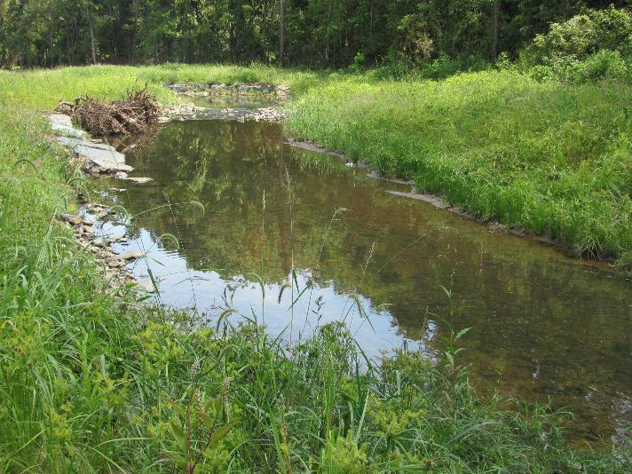 Completed Section with Vegetation