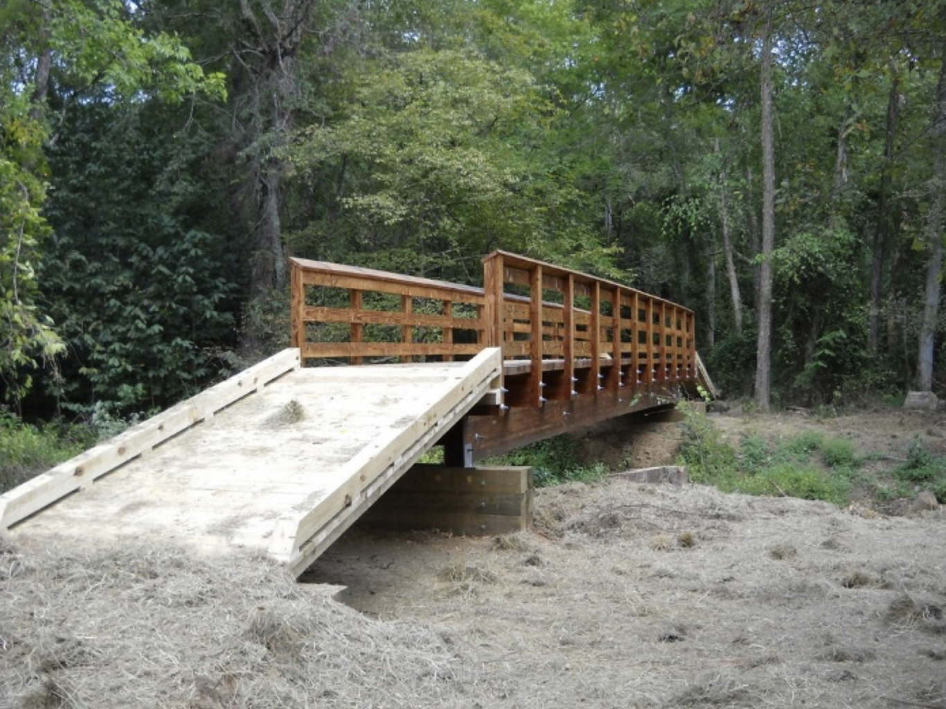 Example Park Bridge