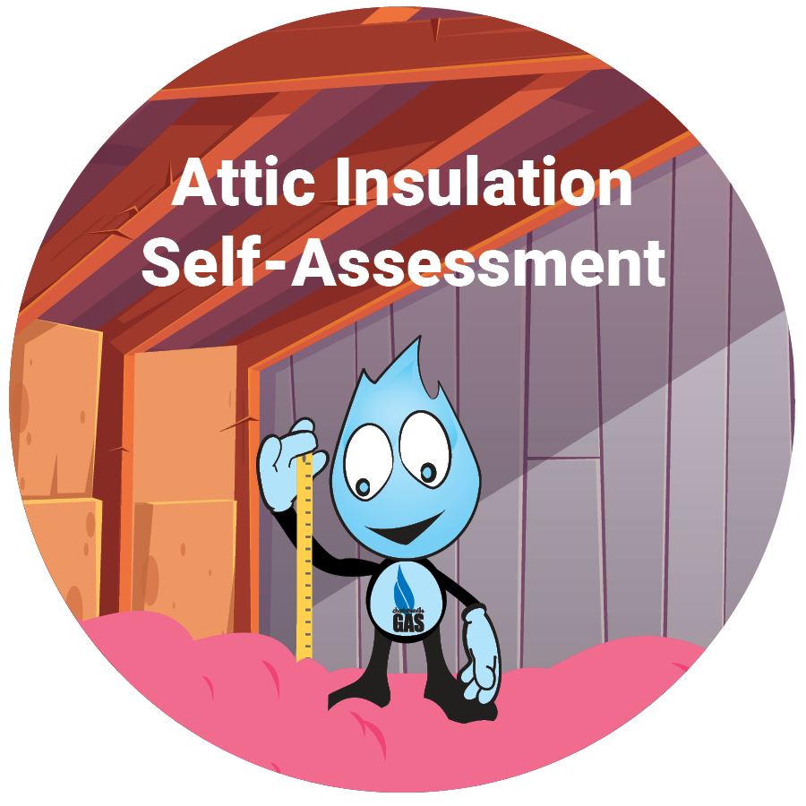 attic insulation bubble (002)