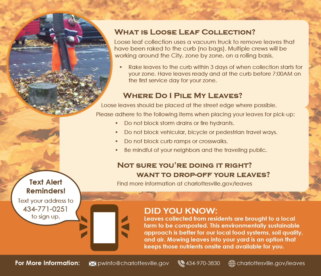 Leaf collection graphic