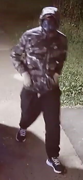 armed robbery suspect